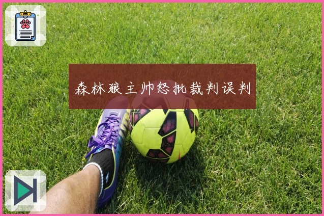 森林狼主帅怒批裁判误判