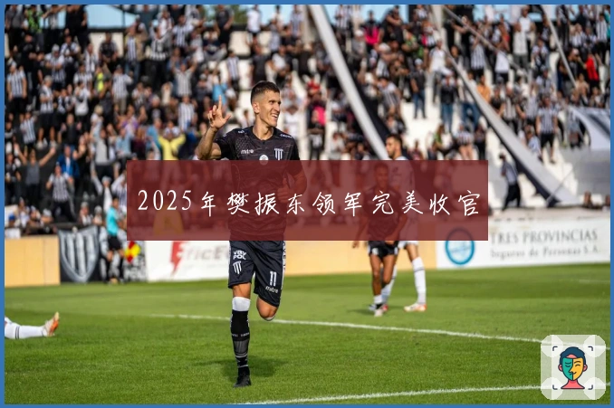 2025年樊振东领军完美收官