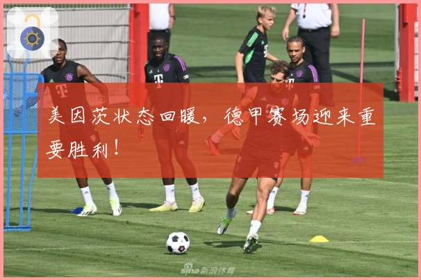 美因茨状态回暖，德甲赛场迎来重要胜利！