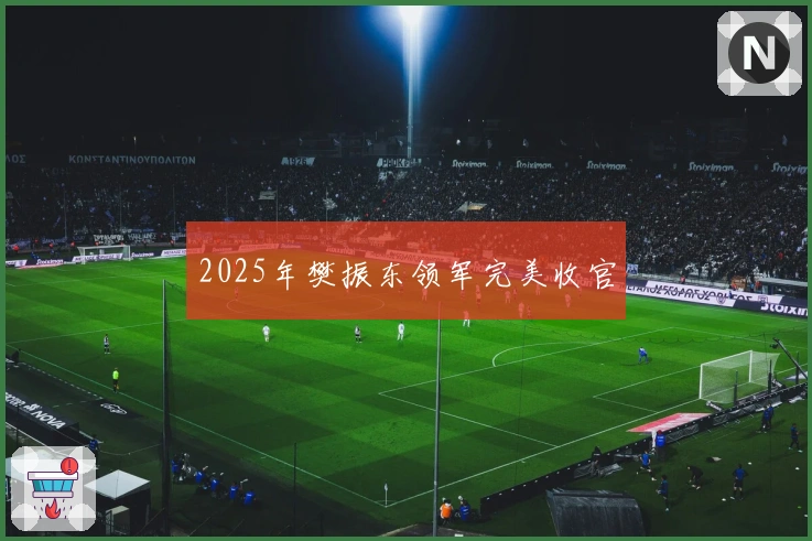2025年樊振东领军完美收官